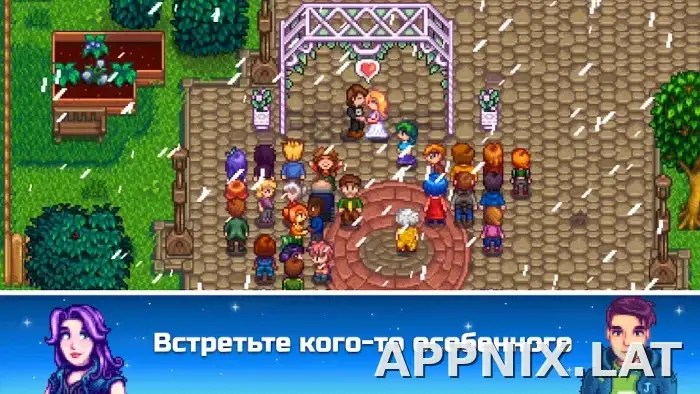 Stardew Valley скриншот 5